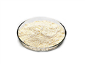 Top sale food grade Vital wheat gluten