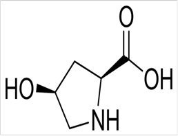 trans-4-Hydroxy-D-proline