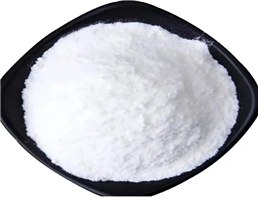 Dimethylprocaine