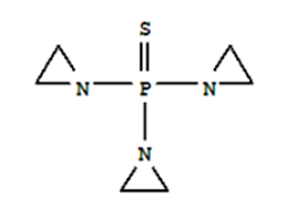 Triethylenethiophosphoramide