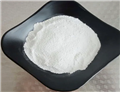 Dimethylprocaine