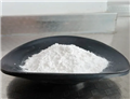 Dimethylprocaine