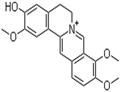 Jatrorrhizine