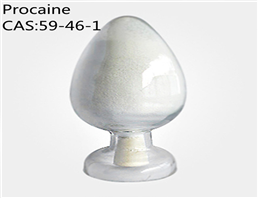 Procaine powder