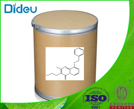 9-Benxyloxy-3-(2-Chloro ethyl)-2-methyl pyrido[1,2-a]pyrimidine-4-one