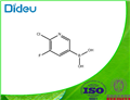 2-CHLORO-3-FLUOROPYRIDINE-5-BORONIC ACID