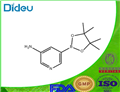 5-AMINOPYRIDINE-3-BORONIC ACID, PINACOL ESTER