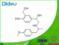 salmefamol USP/EP/BP