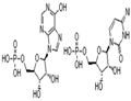 Polyi     polycytidylic acid sodium salt(Poly I:C) (PIC)