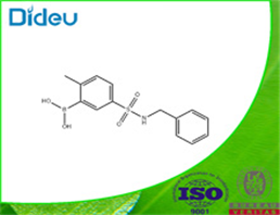 5-(N-BENZYLSULFAMOYL)-2-METHYLPHENYLBORONIC ACID USP/EP/BP