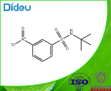 N-T-BUTYL 3-NITROBENZENESULFONAMIDE USP/EP/BP