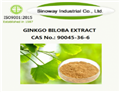 90045-36-6 Ginkgo Biloba Extract