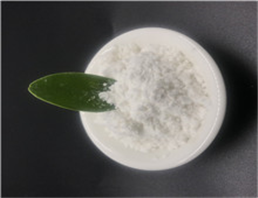 (6-Aminohexyl)carbamic acid