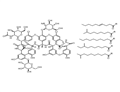 Teicoplanin