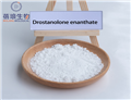 Drostanolone enanthate