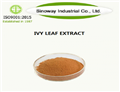 Ivy Leaf Extract