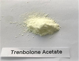 99.78% Trenbolone Acetate Raw Powder Tren Ace 