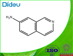 7-Aminoisoquinoline 