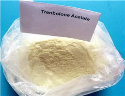 Trenbolone Acetate