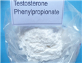 Testosterone Phenylpropionate