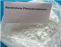 Nandrolone Phenylpropionate