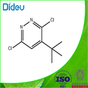 4-TERT-BUTYL-3,6-DICHLOROPYRIDAZINE 