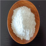 Procaine 