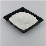 Ampicillin sodium