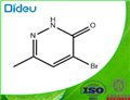 4-BROMO-6-METHYL-2H-PYRIDAZIN-3-ONE 