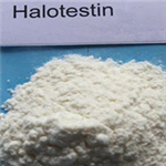 Fluoxymesterone Halotestin