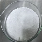 Dabigatran Etexilate Mesylate