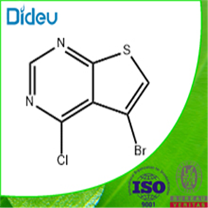 5-bromo-4-chlorothieno[2,3-d]pyrimidine 