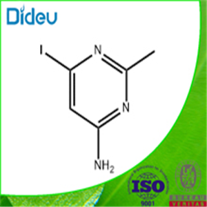 4-AMINO-6-IODO-2-METHYLPYRIMIDINE 