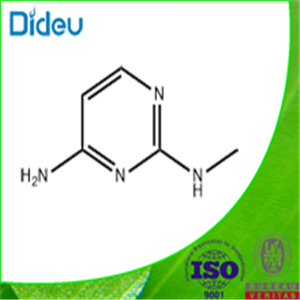 2,4-Pyrimidinediamine, N2-methyl- (9CI) 