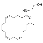 Anandamide