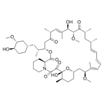 Rapamycin