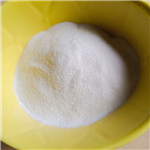 Procaine Hydrochloride