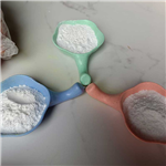 Procaine Base