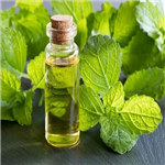 Patchouli Oil;Patchouli Essential Oil