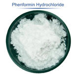 Phenformin (hydrochloride)