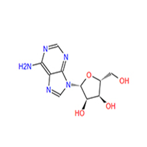  Adenosine