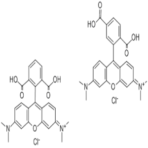 5(6)-Carboxytetramethylrhodamine