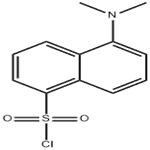 5-(Dimethylamino)naphthalene-1-sulfonyl chloride