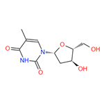 Thymidine