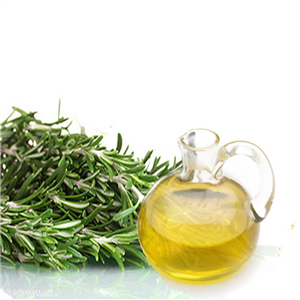 Rosemary Essentiol Oil