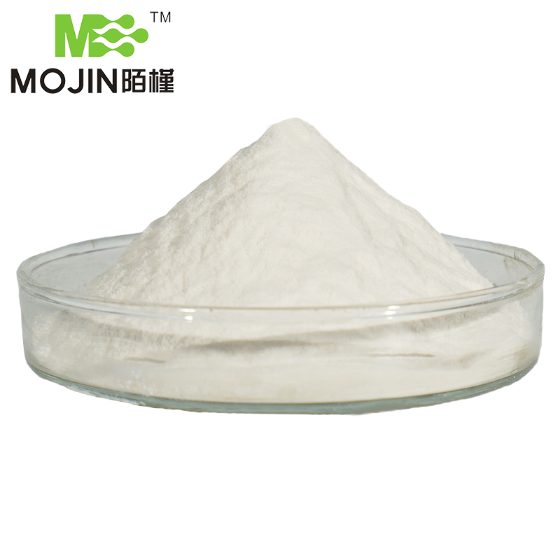 Benzocaine Powder