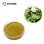 Cortex Myricae extract Myricetin