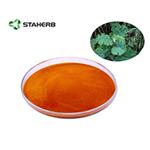 Macleaya cordata extract