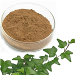 IVY EXTRACT