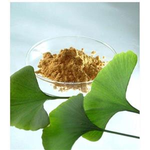 Ginkgo Biloba Extract